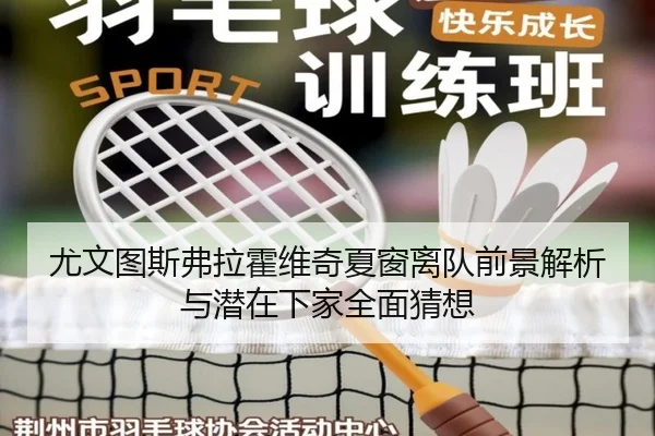 尤文图斯弗拉霍维奇夏窗离队前景解析与潜在下家全面猜想